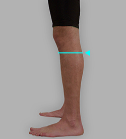 膝下囲採寸: 補足イメージ