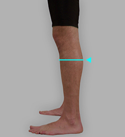 脹脛囲採寸: 補足イメージ